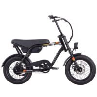 ranger-16-electric-bike-5507461