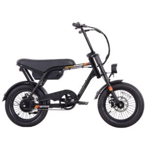 Ranger 16 Electric Bike