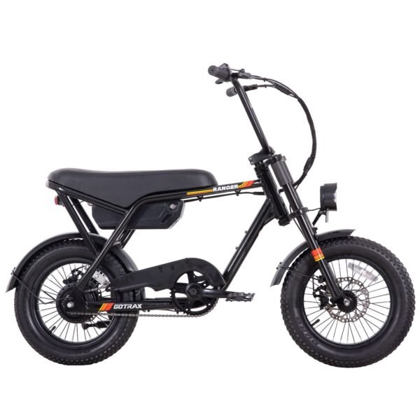 Ranger 16 Electric Bike